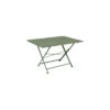 Table De Jardin Cargo 128x90 Cm En Métal Rectangle Pliante - Cactus 2 Table De Jardin Cargo 128x90 Cm En Métal Rectangle Pliante - Cactus -Garantia Soldes Magasin table de jardin cargo 128x90 cm en metal rectangle pliante cactus