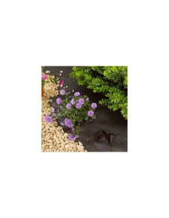 Toile De Paillage 1m X 15 M -Garantia Soldes Magasin toile de paillage 1m x 15 m 2