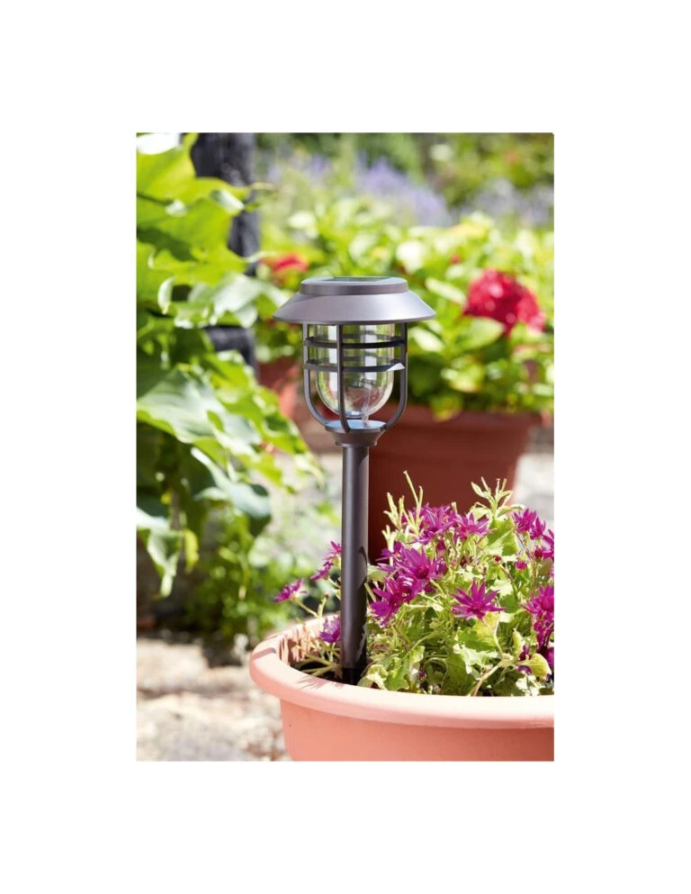 Garantia Soldes Magasin -Garantia Soldes Magasin balise avant solaire a planter x 5 1 768x993 1